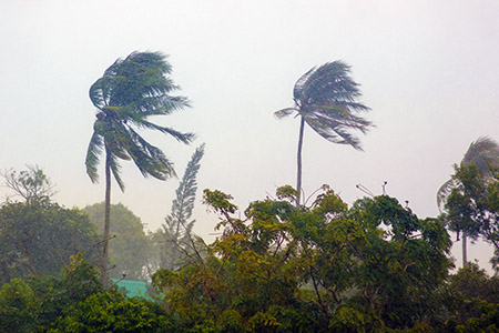 Rainstorm on a Pacific island