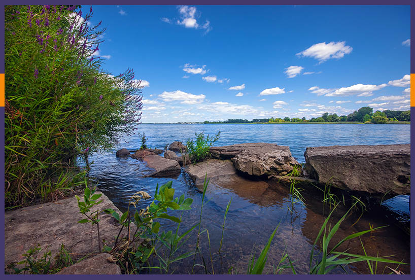 Michigan shore of Lake Erie