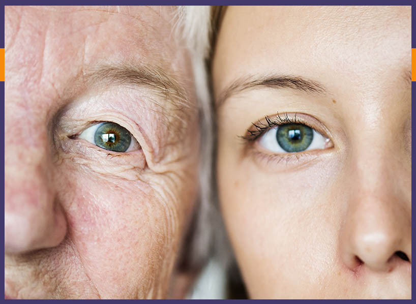 shared eye color are inherited traits and show Genetics in a family free