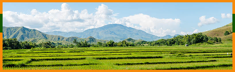 Countryside near Cabanatuan in The Philippines