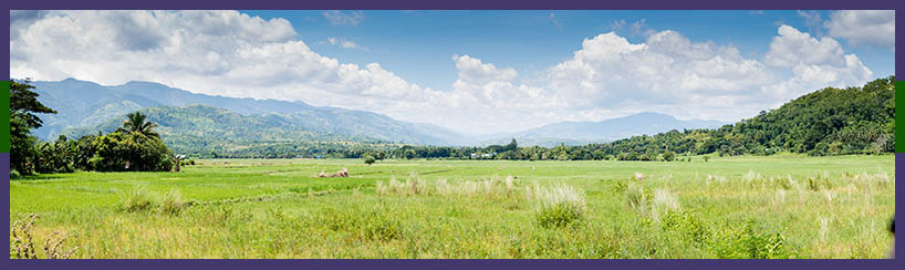 Countryside near Cabanatuan in The Philippines