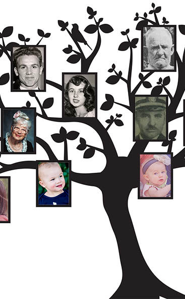 Why your family tree is the best conversation starter for kids
