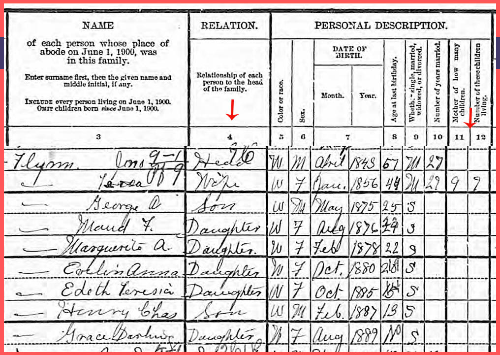1900 US Census for the John Flynn family