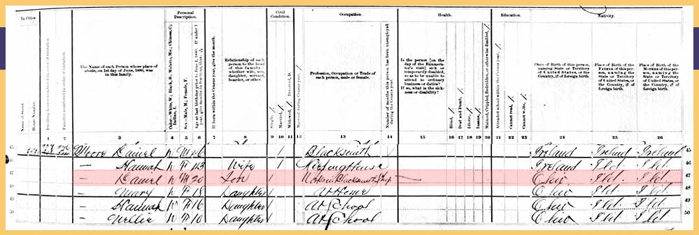 1880 Census for Daniel Moore of Chicago